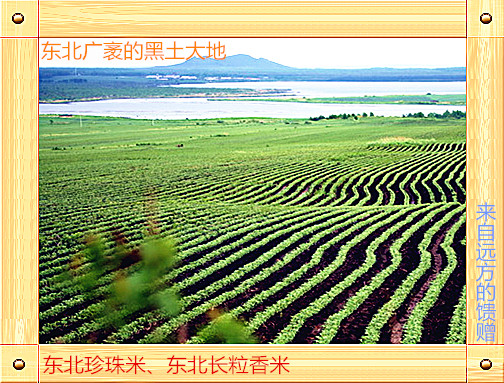 &#20061;&#28216;&#23448;&#26041;&#31471;&#20837;&#21475;&#45;&#20061;&#28216;&#40;&#20013;&#22269;&#41;
